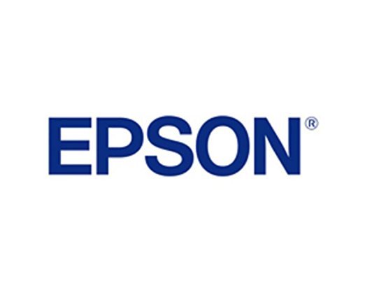Epson RC-R1GNA - grün